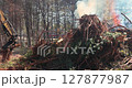 Heavy machinery burns debris piles in a forest this fall, helping with environmental cleanup. 127877987