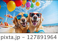 夏日影片：戴著墨鏡的狗狗們在海灘上排成一排 127891964