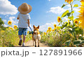 一個孩子和一隻柴犬在夏天並肩走過向日葵田的視頻 127891966
