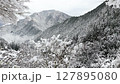 Snow falling in Iya, Tokushima 127895080