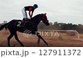Autumn Horse Racing: Jockey Rides a Black Horse in Slow Motion Amidst Dust Clouds 127911372