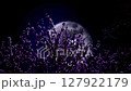 Cherry blossoms blooming in full bloom with a large moon in the background 127922179