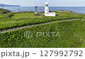 埃里莫角 127992792