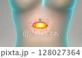 Exploring the human digestive system anatomy at a cellular level 128027364