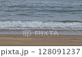 Pacific coast 128091237