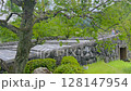 吉香公園　山口県岩国市 128147954