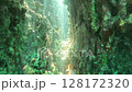 Underwater world, light and fish shining through rock gaps 128172320