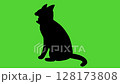 Yawning cat silhouette 128173808