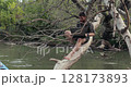 Using work laptop on the beach, sitting on a tree 128173893