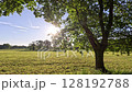 Countryside Scenery On A Sunny Day 128192788