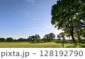 Countryside Scenery On A Sunny Day 128192790