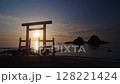 福岡県糸島市桜井二見ヶ浦の鳥居と夫婦岩 128221424
