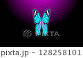 blue color butterfly animation green screen background 128258101