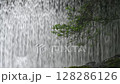 滝のカーテン1 滝のカーテン1 128286126