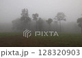misty morning in the forest 128320903