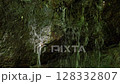 Okutama natural scenery 128332807
