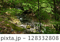 Okutama natural scenery 128332808