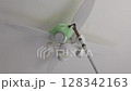 Cleaning the ceiling fan light with a duster Zoom out 128342163