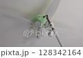 Cleaning the ceiling fan light with a duster 128342164