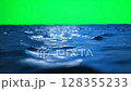 vast ocean on a green screen background - ai generated 128355233