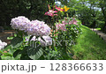 Gongendo公園的繡球花 128366633