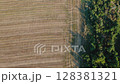 The beauty of nature unfolds as the camera captures the deep contrast between the golden field and the lush woodland edge. 128381321