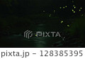 Fireflies dancing in a stream 128385395