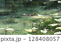 Monet's Pond in Summer: Water Lilies Monet's Pond in Summer: Water Lilies 128408057
