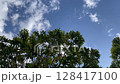 Seeing off an airplane high in the sky 128417100