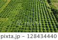 Ontario Greenbelt farming fields 128434440