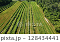 Ontario Greenbelt farming fields 128434441