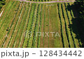 Ontario Greenbelt farming fields 128434442