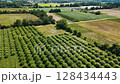 Ontario Greenbelt farming fields 128434443
