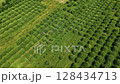 Ontario Greenbelt farming fields 128434713