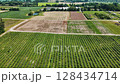 Ontario Greenbelt farming fields 128434714