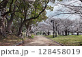 Historic plaza blending nature, culture, and heritage views March 23 2025 128458019
