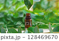 尤加利葉上滴落的水滴和移動的字母的線條藝術 128469670