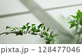 Soft sunlight through wooden windows, shadows, green leaves and texture of white walls. 128477046