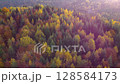 Drone view colourful autumn forest in Chengdu, Sichuan province, China, aerial view autumn rural idyllic landscape, 4K real time footage. 128584173