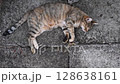 Tabby cat naps and looks into camera. Cute fluffy cat purrs and kneads by paws. Top view of young pet animal with rough stone background. cat peacefully lounging on stone pavement 128638161