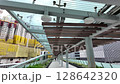 Jan 2 2025 Elegant bridge structure cElegant bridge strgucture connecting cities with historyonnecting cities with history  128642320