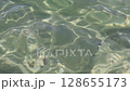 Transparent water surface rippling with refraction of sunlight. Abstract blur texture of ocean waves. Summer sea vacation background with copy space 128655173