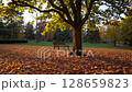 A moment of calm in autumn 128659823