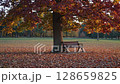 Quiet autumn park 128659825