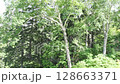 黒岳のリフトから見た風景 128663371