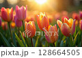 Lush spring flowers bloom with vibrant colors, basking in the soft, warm light of a golden spring sunrise, showcasing natural beauty with summer evening or morning. 128664505