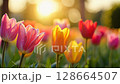 Lush spring flowers bloom with vibrant colors, basking in the soft, warm light of a golden spring sunrise, showcasing natural beauty with summer evening or morning. 128664507
