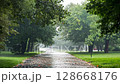 rain-swept park pathway trees and lush green grass 128668176