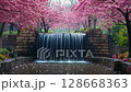 pink cherry blossom park waterfall serene spring nature 128668363