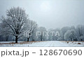 snowy landscape with trees standing in the foreground, the background is foggy, creating a depth effect,. 128670690